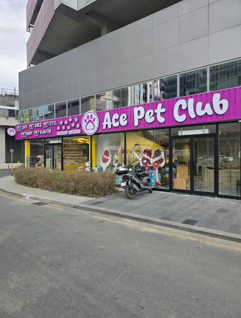 Ace Pet Club giriş bölümü ve mağaza vitrini